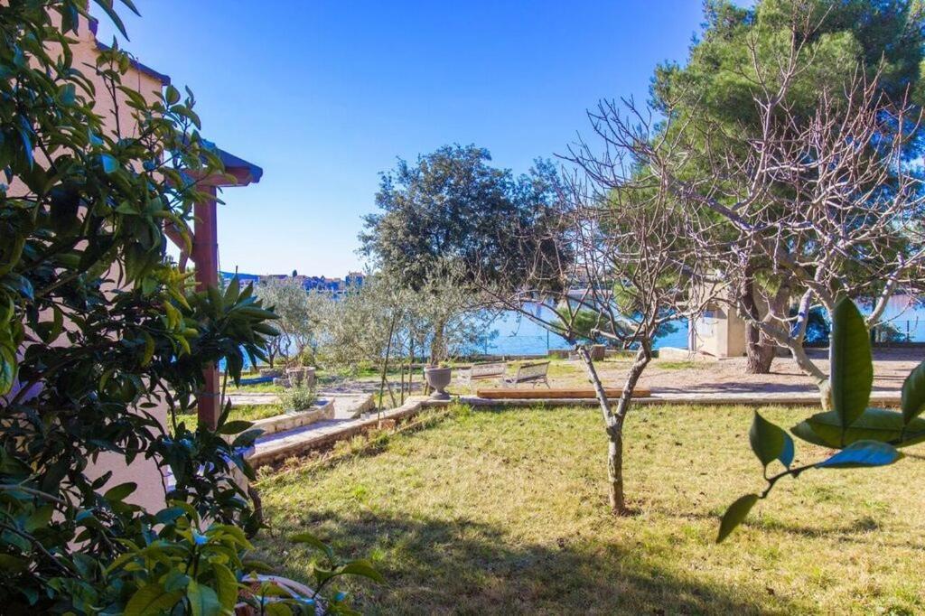 Pansion Zlatna Ribica Otel Brodarica  Dış mekan fotoğraf
