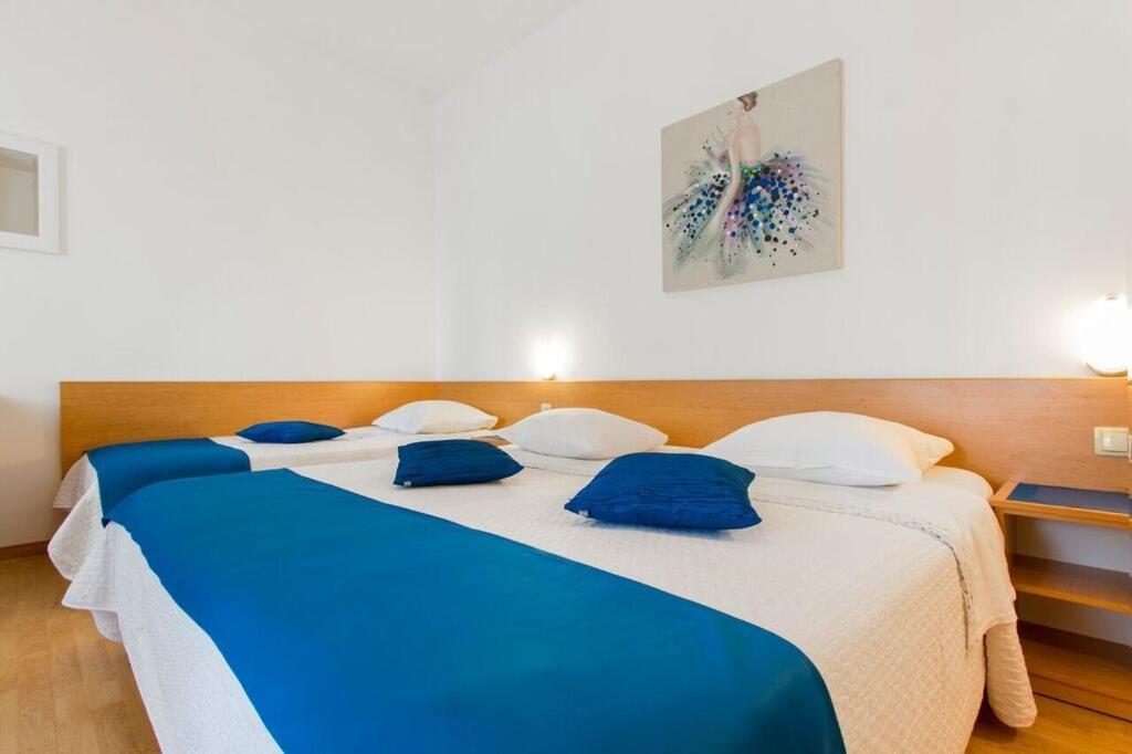 Pansion Zlatna Ribica Otel Brodarica  Dış mekan fotoğraf