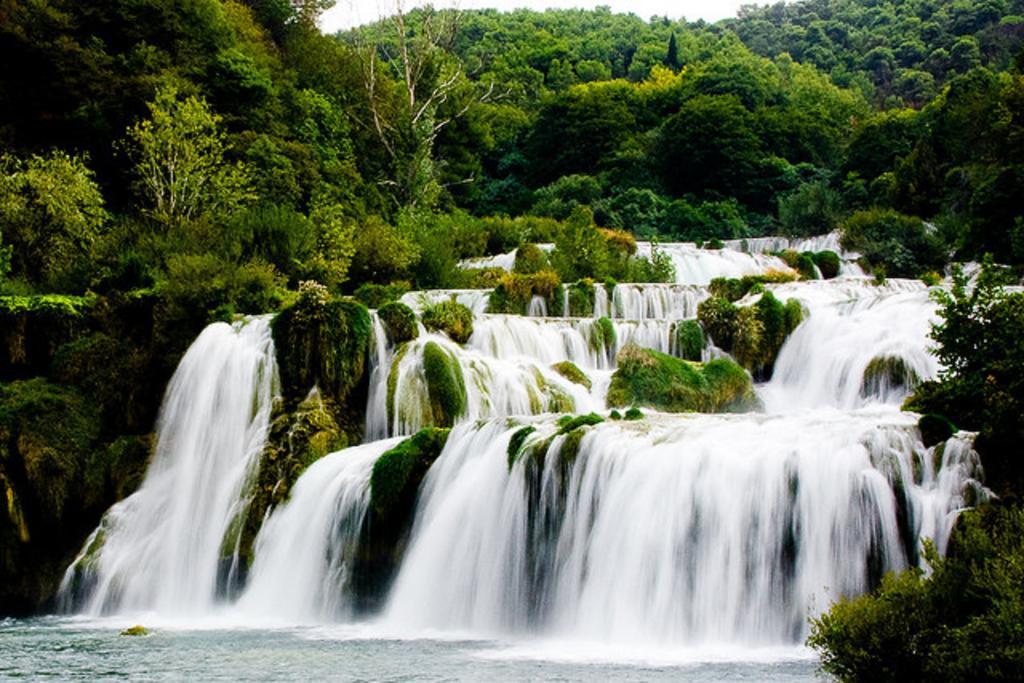 Pansion Zlatna Ribica Otel Brodarica  Dış mekan fotoğraf